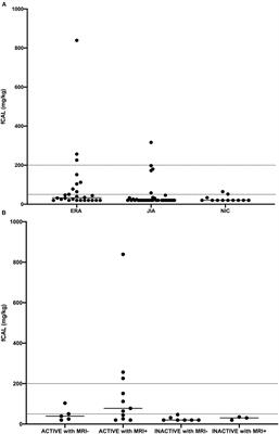 The Increased Levels of Fecal Calprotectin in Children With Active Enthesitis Related Arthritis and MRI Signs of Sacroiliitis: The Results of a Single Center Cross-Sectional Exploratory Study in Juvenile Idiopathic Arthritis Patients